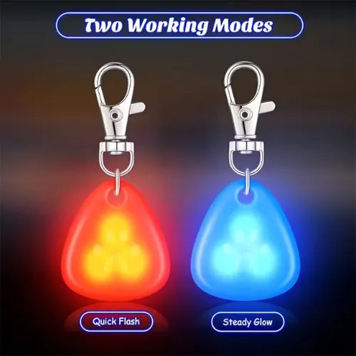Collar para Mascotas con Luz LED