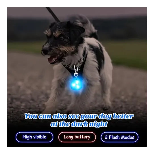 Collar para Mascotas con Luz LED