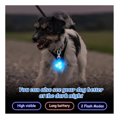 Collar para Mascotas con Luz LED