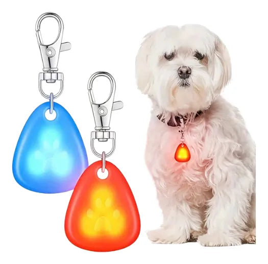 Collar para Mascotas con Luz LED