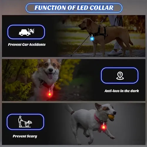 Collar para Mascotas con Luz LED