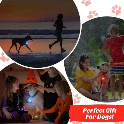 Collar para Mascotas con Luz LED